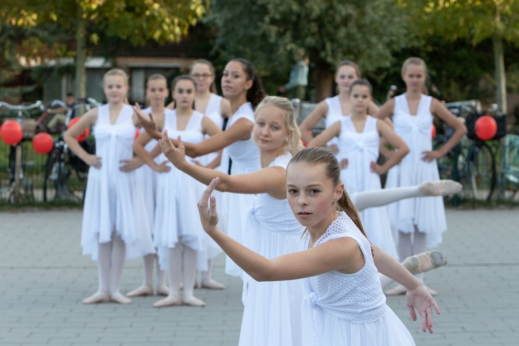 Schoolplein Festival A451.jpg